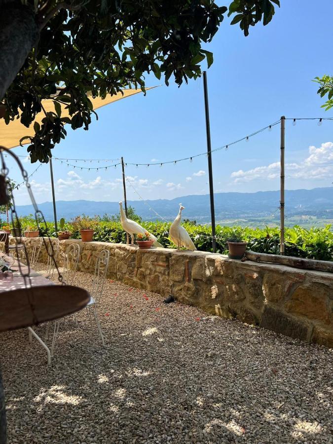 Agriturismo I Millepini Case Malva Экстерьер фото