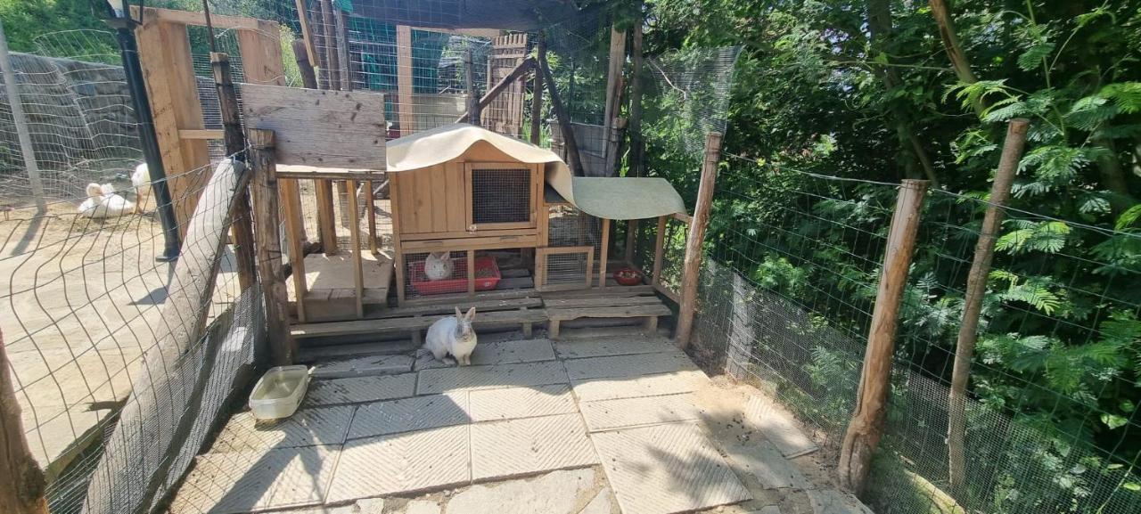 Agriturismo I Millepini Case Malva Экстерьер фото